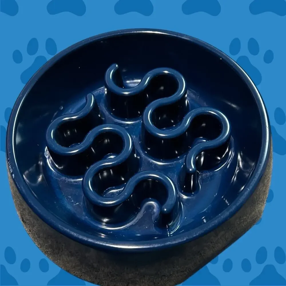 Petco Dog Food Bowl-for the pup that eats too quickly!
